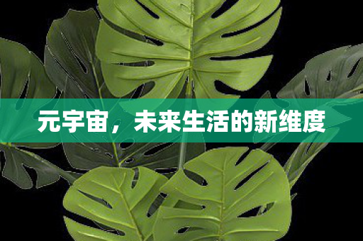 未来生活的新维度图片