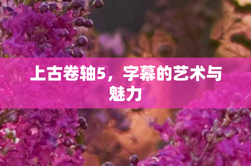 字幕的艺术与魅力图片