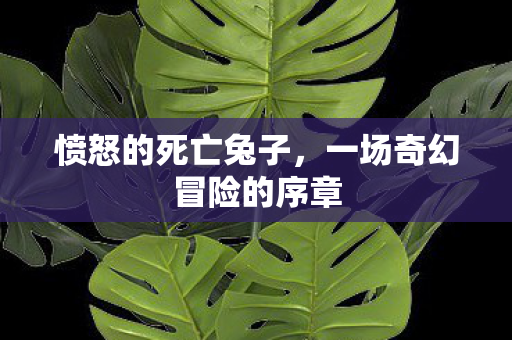 一场奇幻冒险的序章图片