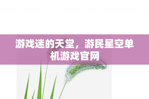 游民星空单机游戏官网图片