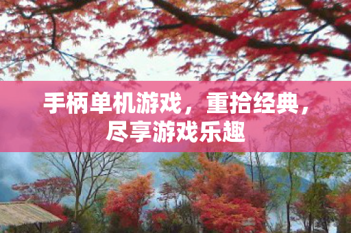 手柄单机游戏图片