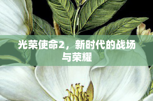 光荣使命2，新时代的战场与荣耀
