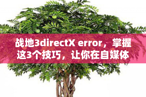 战地3directX error，掌握这3个技巧，让你在自媒体创作中游刃有余