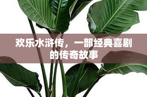 欢乐水浒传，一部经典喜剧的传奇故事