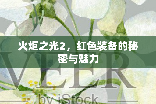 火炬之光2，红色装备的秘密与魅力