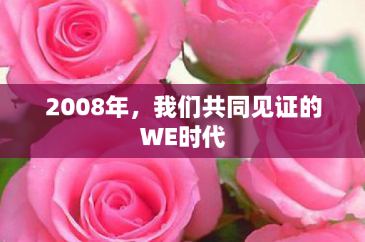 2008年，我们共同见证的WE时代