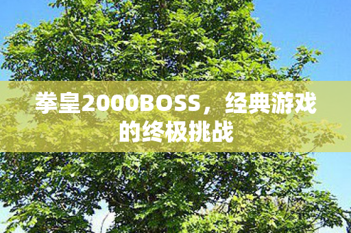 拳皇2000BOSS，经典游戏的终极挑战