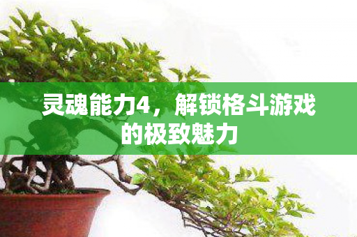 灵魂能力4，解锁格斗游戏的极致魅力