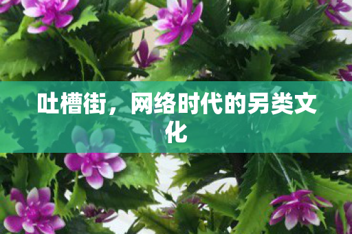 吐槽街，网络时代的另类文化