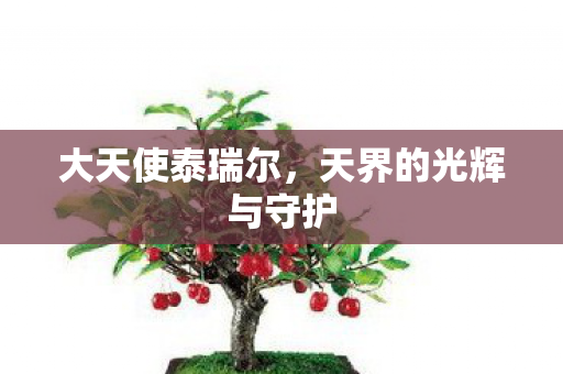 天界的光辉与守护图片