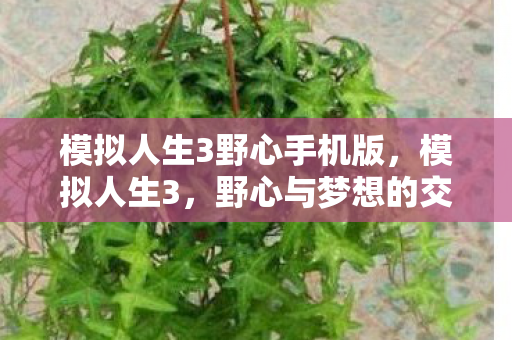 模拟人生3野心手机版，模拟人生3，野心与梦想的交响曲