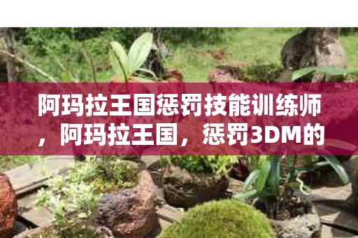 阿玛拉王国惩罚技能训练师，阿玛拉王国，惩罚3DM的奇幻之旅