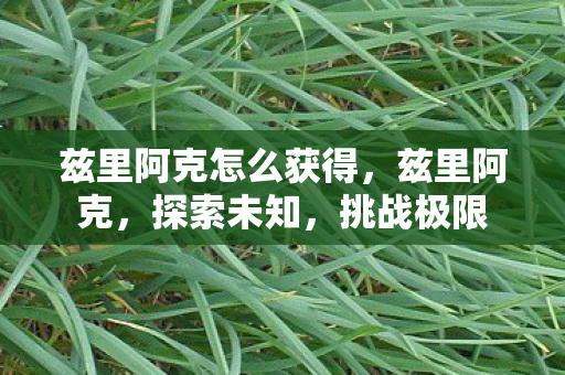 兹里阿克怎么获得，兹里阿克，探索未知，挑战极限