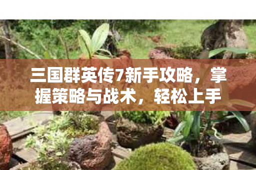 三国群英传7新手攻略，掌握策略与战术，轻松上手