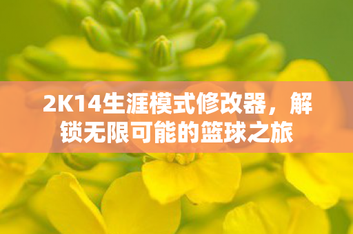 2K14生涯模式修改器，解锁无限可能的篮球之旅