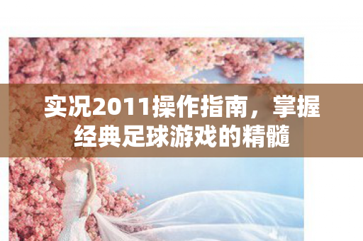 掌握经典足球游戏的精髓图片