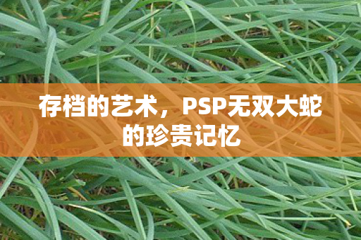 PSP无双大蛇的珍贵记忆图片