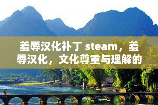 羞辱汉化补丁 steam，羞辱汉化，文化尊重与理解的缺失