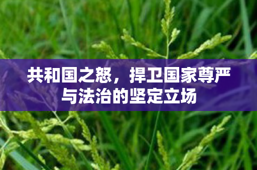 共和国之怒,捍卫国家尊严与法治的坚定立场 共和国之怒,捍卫国家尊严与法治的坚定立场