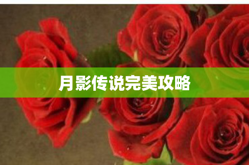 月影传说完美攻略