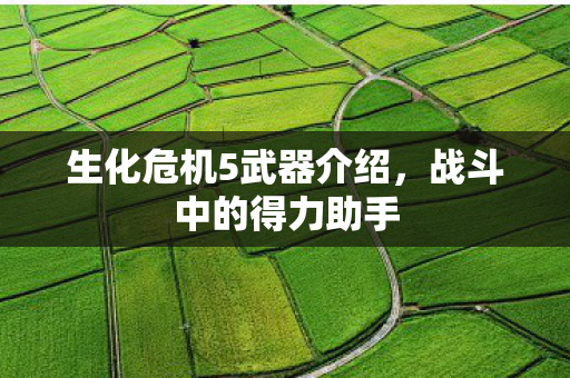 生化危机5武器介绍，战斗中的得力助手