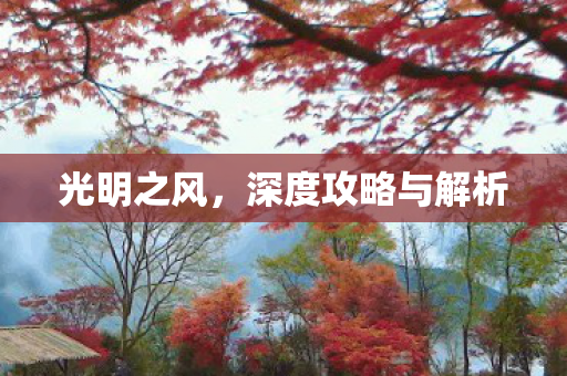 光明之风，深度攻略与解析