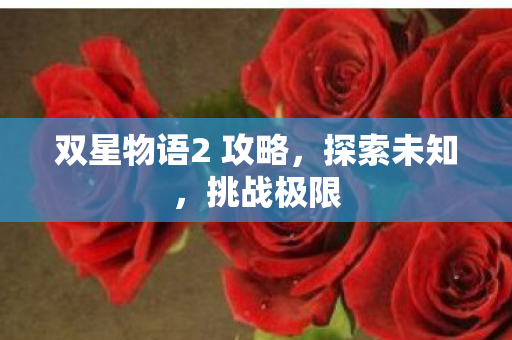 双星物语2 攻略，探索未知，挑战极限