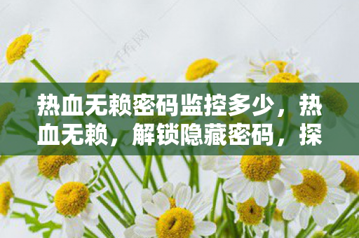 热血无赖密码监控多少，热血无赖，解锁隐藏密码，探索游戏深层奥秘