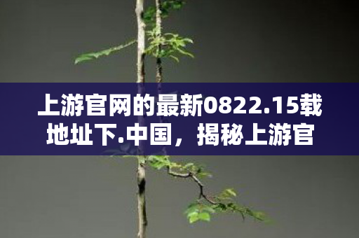 上游官网的最新0822.15载地址下.中国，揭秘上游官网，如何成为数字时代的信息守护者