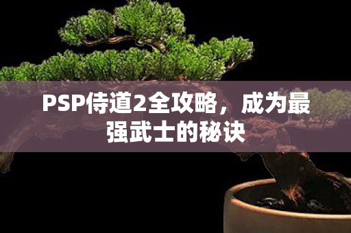 PSP侍道2全攻略，成为最强武士的秘诀