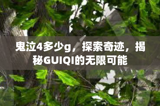 鬼泣4多少g，探索奇迹，揭秘GUIQI的无限可能