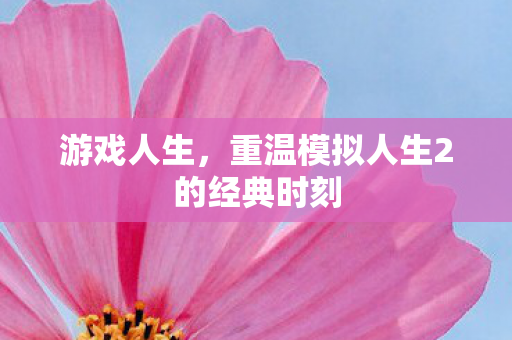 重温模拟人生2的经典时刻图片