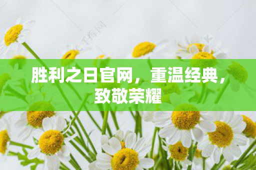 胜利之日官网图片