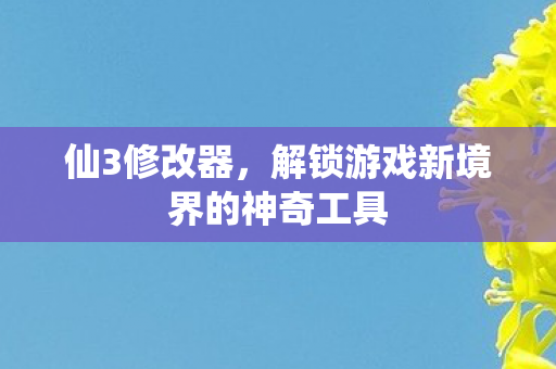 仙3修改器，解锁游戏新境界的神奇工具