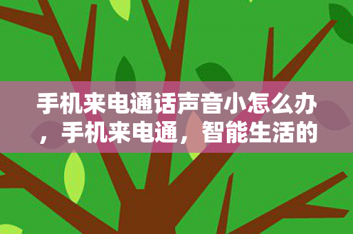 手机来电通话声音小怎么办，手机来电通，智能生活的贴心助手