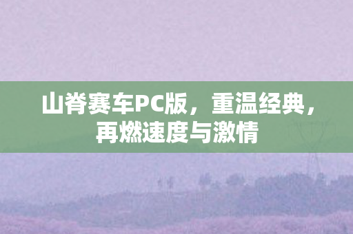 山脊赛车PC版图片