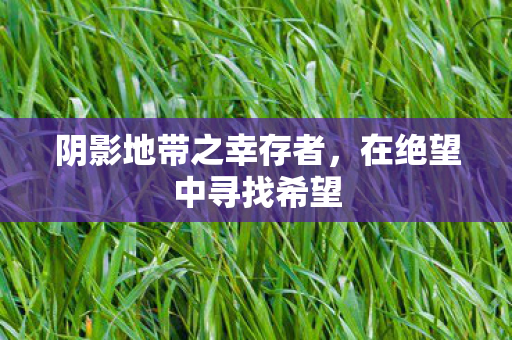 阴影地带之幸存者，在绝望中寻找希望