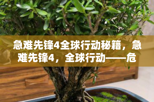 急难先锋4全球行动秘籍，急难先锋4，全球行动——危机四伏的救援挑战