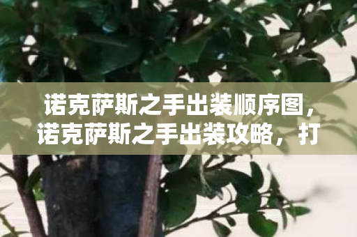 诺克萨斯之手出装顺序图，诺克萨斯之手出装攻略，打造最强战斗力的关键