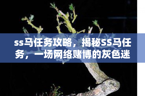 ss马任务攻略，揭秘SS马任务，一场网络赌博的灰色迷雾