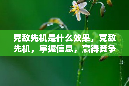 克敌先机是什么效果，克敌先机，掌握信息，赢得竞争