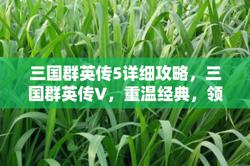 三国群英传5详细攻略，三国群英传V，重温经典，领略策略游戏的魅力