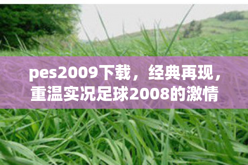 重温实况足球2008的激情岁月图片