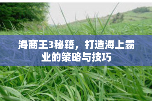 海商王3秘籍，打造海上霸业的策略与技巧