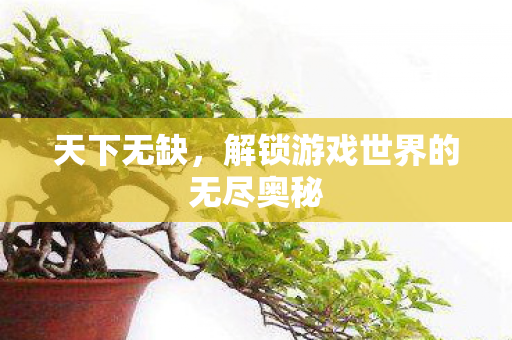 天下无缺，解锁游戏世界的无尽奥秘
