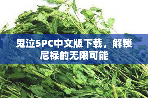 鬼泣5PC中文版下载，解锁尼禄的无限可能