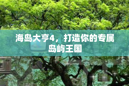 打造你的专属岛屿王国图片