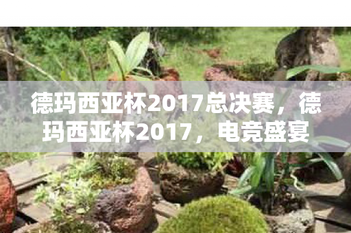 德玛西亚杯2017总决赛，德玛西亚杯2017，电竞盛宴，英雄荣耀