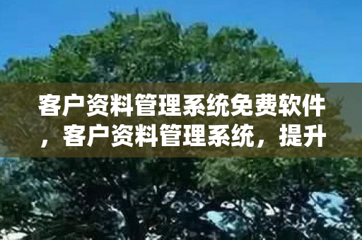 客户资料管理系统免费软件，客户资料管理系统，提升业务效率的关键工具