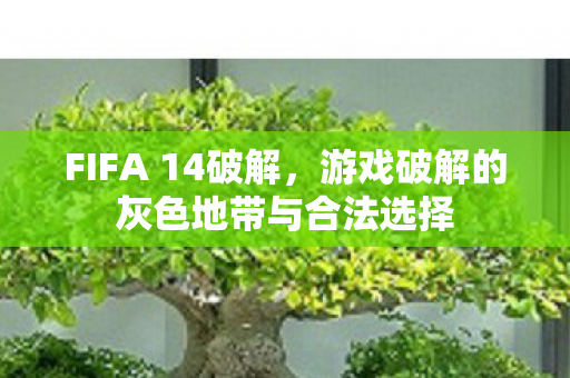FIFA 14破解，游戏破解的灰色地带与合法选择